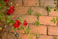 Diamond Hill Bricks with Roses